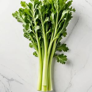 친환경 유기농 샐러리 1kg ~ 5kg