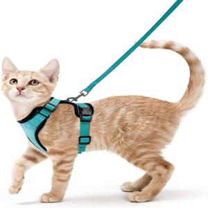 걷기용 고양이 하네스 및 가죽끈, 고양이용 탈출 방지 소프트 조절식 조끼 하네스, EasyControl