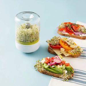 수조 Sprouter 콩나물 성장 키트 재사용 가능한 가정용 주방 콩 식물 발아 시스템 씨앗 작물 용기 용품