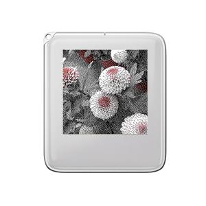 NFC 기능 키링, 1.54 인치 3 색 디스플레이 스크린 이미지, 무선 변속기 키체인, 잉크 스크린