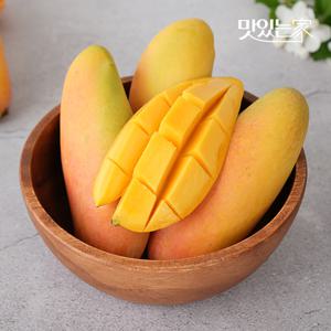 태국 마하차녹 무지개 망고 8-12과 4kg 내외