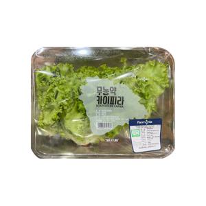 무농약 카이피라 300g_국내산_냉장