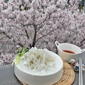 장고항 실치회 300g 국내산 짧은 봄철 최고의 별미 A급 실치회 2주간 판매