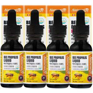 캐나다 비 프로폴리스 리퀴드 30ml 4병 액상 원액 스포이드 PROPOLIS 플라보노이드 소비기한 27년 1월 05일