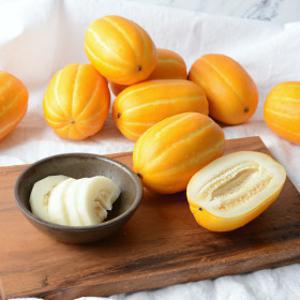 (신선집중) 20%+7%/ 산지직송 당도보장 성주 참외 저탄소 성주 꿀 참외 5kg(혼합과)