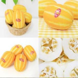 성주꿀참외 특가 아삭달콤참외11kg (실중량 10kg)랜덤과수