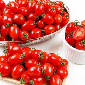 (신선집중) 10%/ 대추방울토마토 3~4번과 2kg /2세트 주문시 5kg 발송