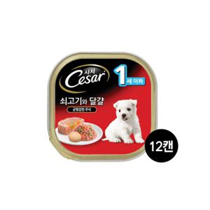시저 강아지캔 1세이하 쇠고기와 달걀 100G 12개