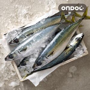 [온도씨]제주 손질 고등어살 1.8kg (특대/10팩/팩당180g내외)
