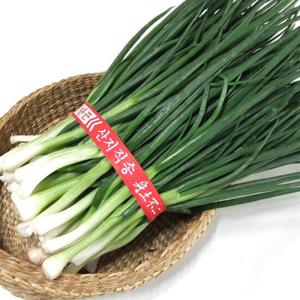 산정마을 국내산 깐쪽파 1단(1kg내외)