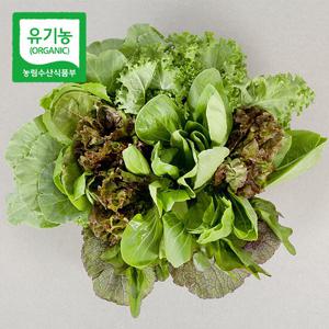 [농부마음] 유기농 쌈채소 600g 샐러드채소 모듬쌈 쌈야채