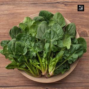 참다른 산지직송 남해 섬초 시금치 1kg