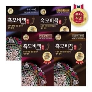 [리엔]리엔 흑모비책 골드 염색약 90G X 10개 (자연갈색/짙은갈