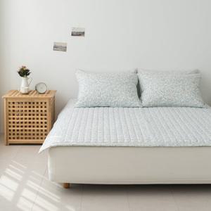 이솔홈 반디 사계절 마이크로 모달 카페트 침대패드 Q