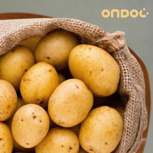 [온도씨]강원도 포슬한 두백 감자 3kg 상