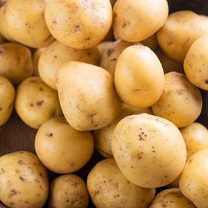 포슬포슬 국내산 두백감자 왕왕 5kg (190-250g)