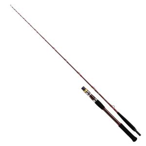 다이와(DAIWA) 21 딥존 GS 200-205R