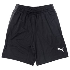INDIVIDUAL LIGA 트레이닝 반바지 2 JR 659838-03 푸마