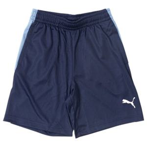 INDIVIDUAL LIGA 트레이닝 반바지 2 JR 659838-06 푸마