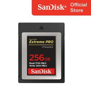 샌디스크 CFexpress Extreme PRO B타입 256GB 256기가 XQD 메모리 카드 CFE ENL