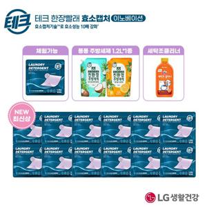 [싱글] 라벤더 한장빨래 (15매) * 13팩 + 세탁조 * 퐁퐁(랜덤)
