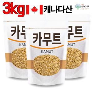 The큰나무 캐나다산 오리지널 카무트 1kgx3팩 발아 카무트 용 카무트 쌀