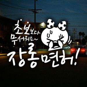 장롱면허 쁘띠 초보운전스티커-반사