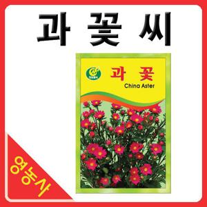 과꽃씨앗- 과꽃씨 과꽃 꽃씨앗 야생화씨앗