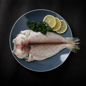 [e제주섬] 제주 옥돔(왕특대) 780g(390gx2마리)