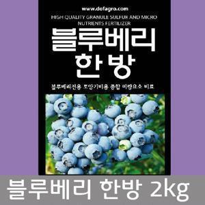 블루베리한방2kg 블루베리전용