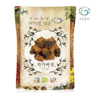 푸른들판 러시아산 건조 시베리안 차가버섯 500g 원물 덩어리