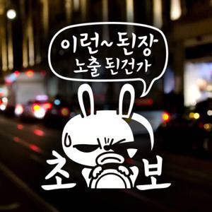 이런 된장 노출된건가 초보 / 자동차스티커 초보운전