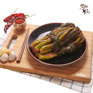 [남도의 맛] 맛있는 옥과 갓김치 3kg