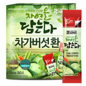 조은약초 차가버섯 환 스틱 30포 x 3g