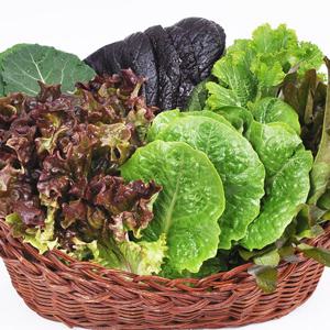 [당일수확발송]유기농 모듬 쌈채소(야채) 1kg