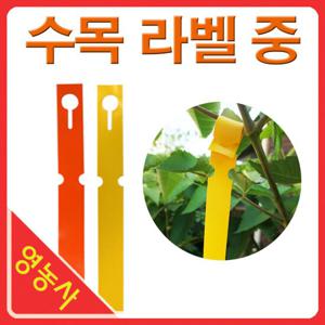수목라벨 중 100매 식물이름표 나무이름표 띠라벨 원예