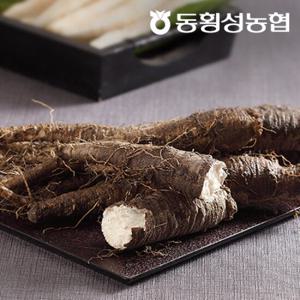 [동횡성농협] 강원도 더덕 800g×2 (생더덕)