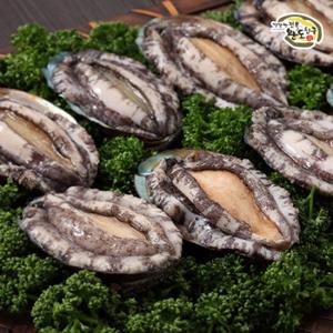 완도전복5호 1kg 15~16