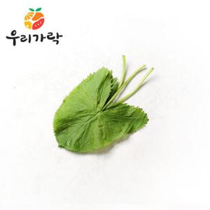 [우리가락]곰취(곤달비) 100g 이내