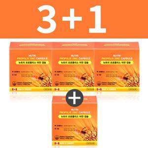 총 4박스 (3+1) 뉴트리 프로폴리스 아연 캡슐 면역력 항산화제
