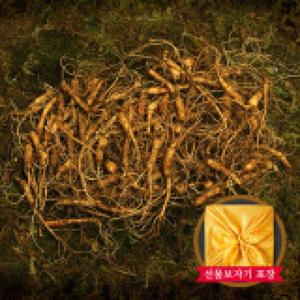 [명가천삼] 강원도 토종 산양삼 실속형 200g(60-90뿌리)