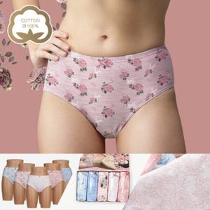 [순면]로즈골드 맥시팬티 여성요일속옷 5종세트