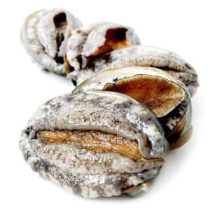 완도 참 전복 1kg(14-15미) / 아이스박스포장