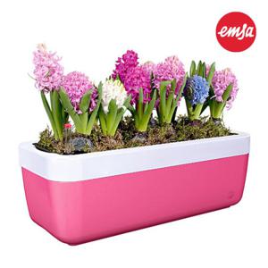 엠사 직사각화분(myBOX화분)