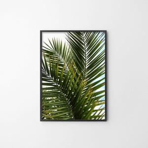 [라이크리빙] 야자수A 사진 벽 인테리어 액자 포스터_30x40cm