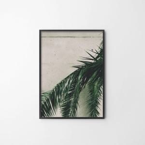 [라이크리빙] 야자수B 사진 벽 인테리어 액자 포스터_30x40cm