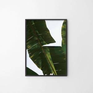[라이크리빙] 바나나 사진 벽 인테리어 액자 포스터_30x40cm