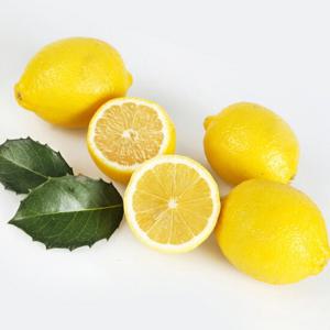 프리미엄 정품 팬시 레몬 5과(과당 120g)