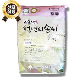 귀농10년의결실 신동진미 백미10kg