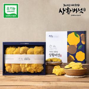 [지리산 새희망 상황버섯]유기농 상황버섯 선물세트 250g(특품)